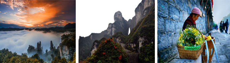 張家界跟團(tuán)游,張家界自由行,張家界自駕游,張家界中國國際旅行社有限公司